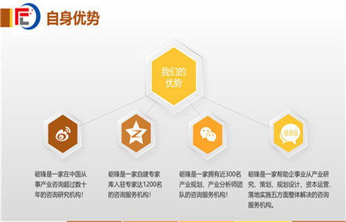 六安市社會穩(wěn)定風險分析評估報告（甲級）——社會經濟咨詢服務的核心價值與實施路徑